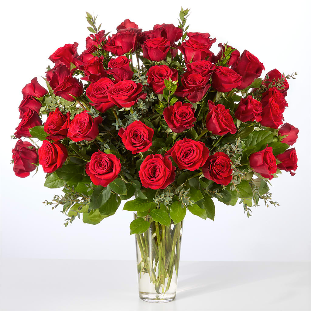 Forever Yours Fifty Stem Red Rose Bouquet –  Harris Teeter, Matthews NC