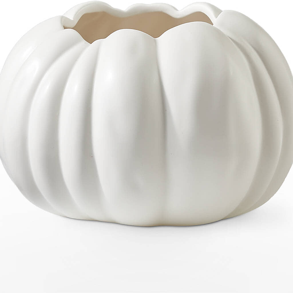 Autumn Air Pumpkin Bouquet –  Harris Teeter, Matthews NC